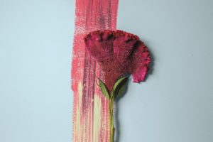 Tikkurila: błękit Y354 Cumulus kolorem roku 2021! Y354 Cumulus – spokojny, delikatny błękit reprezentujący perspektywę przyszłości kształtującej się w jasnych barwach