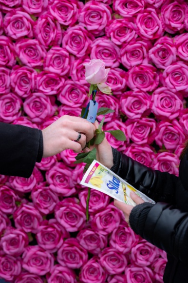 Silan Ylang Ylang&Vetiver Scent – wyjątkowy zapach i jakość w służbie środowisku